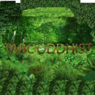 The Tabooddhist