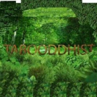 The Tabooddhist The Tabooddhist